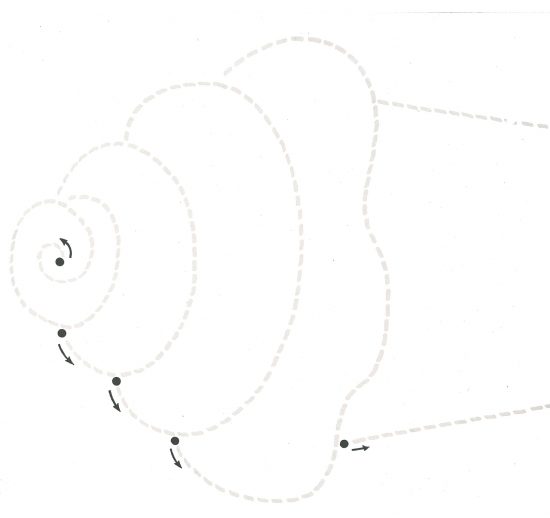 Repasar el dibujo